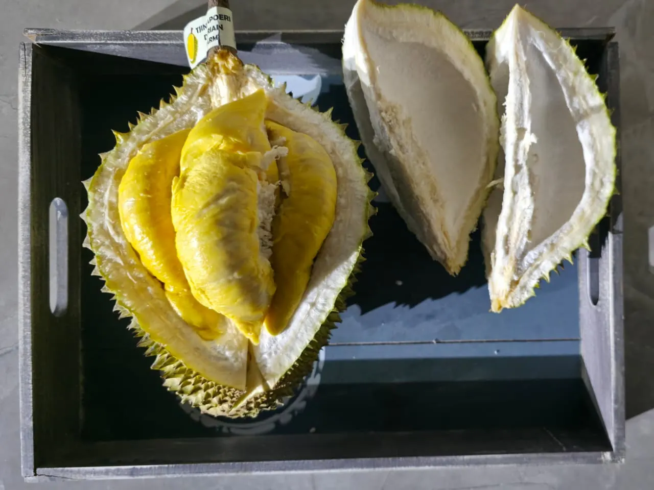 Opened durian showing thick golden flesh